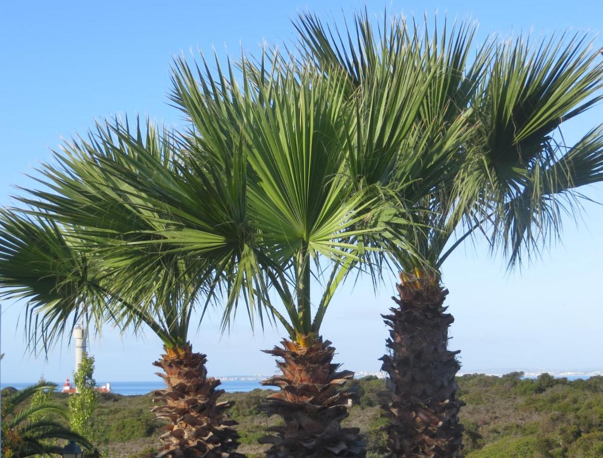 Three Palms Apartment Ferragudo  Exteriör bild